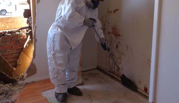 Professional Trauma Cleanup Services in Cincinnati