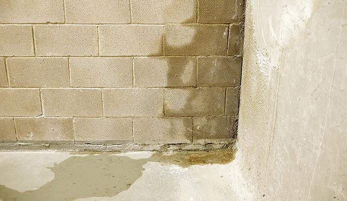 Wall Leak Detection in Cincinnati, Columbus, Ohio & Sarasota, Florida | 
