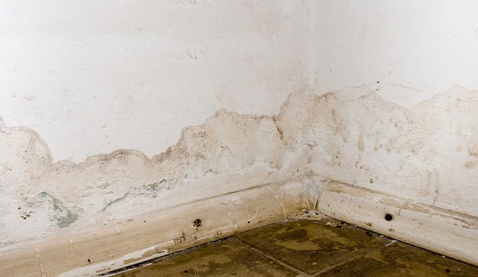 Drywall Water Damage Restoration in Cincinnati, Columbus, Ohio & Sarasota, Florida | Teasdale