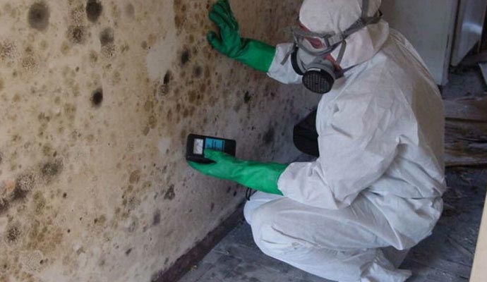 Health Hazards caused by Mold & Mildew