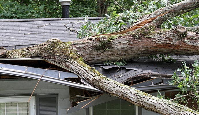 Strom damaged roof