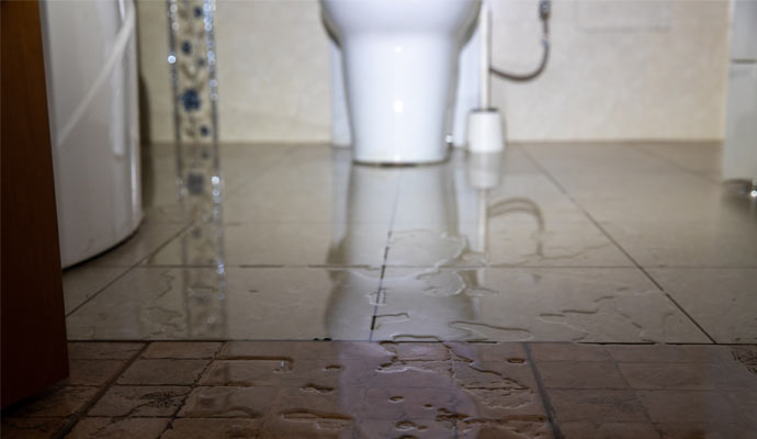 Toilet Backup Cleaning Services in Cincinnati, Columbus, Ohio & Sarasota, Florida