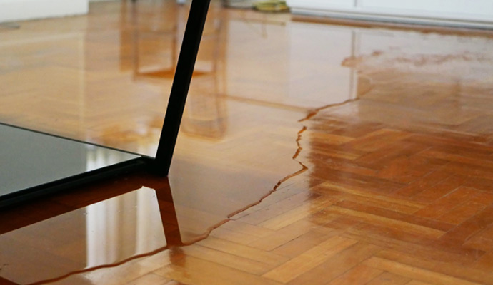 Wood Floor Water Damage in Cincinnati, Columbus, Ohio & Sarasota, Florida | 